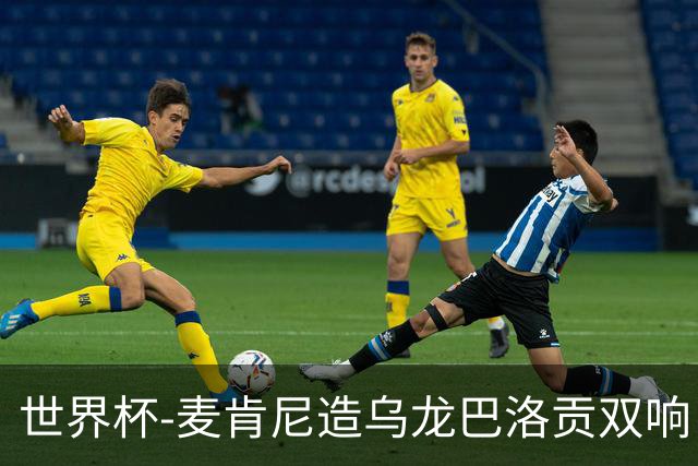 世界杯-麦肯尼造乌龙巴洛贡双响 半场美国3-0巴拉圭