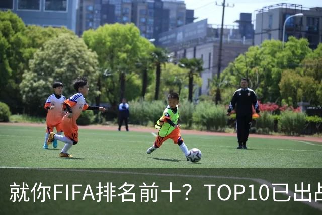 就你FIFA排名前十？TOP10已出战6队 仅德国拿到胜利
